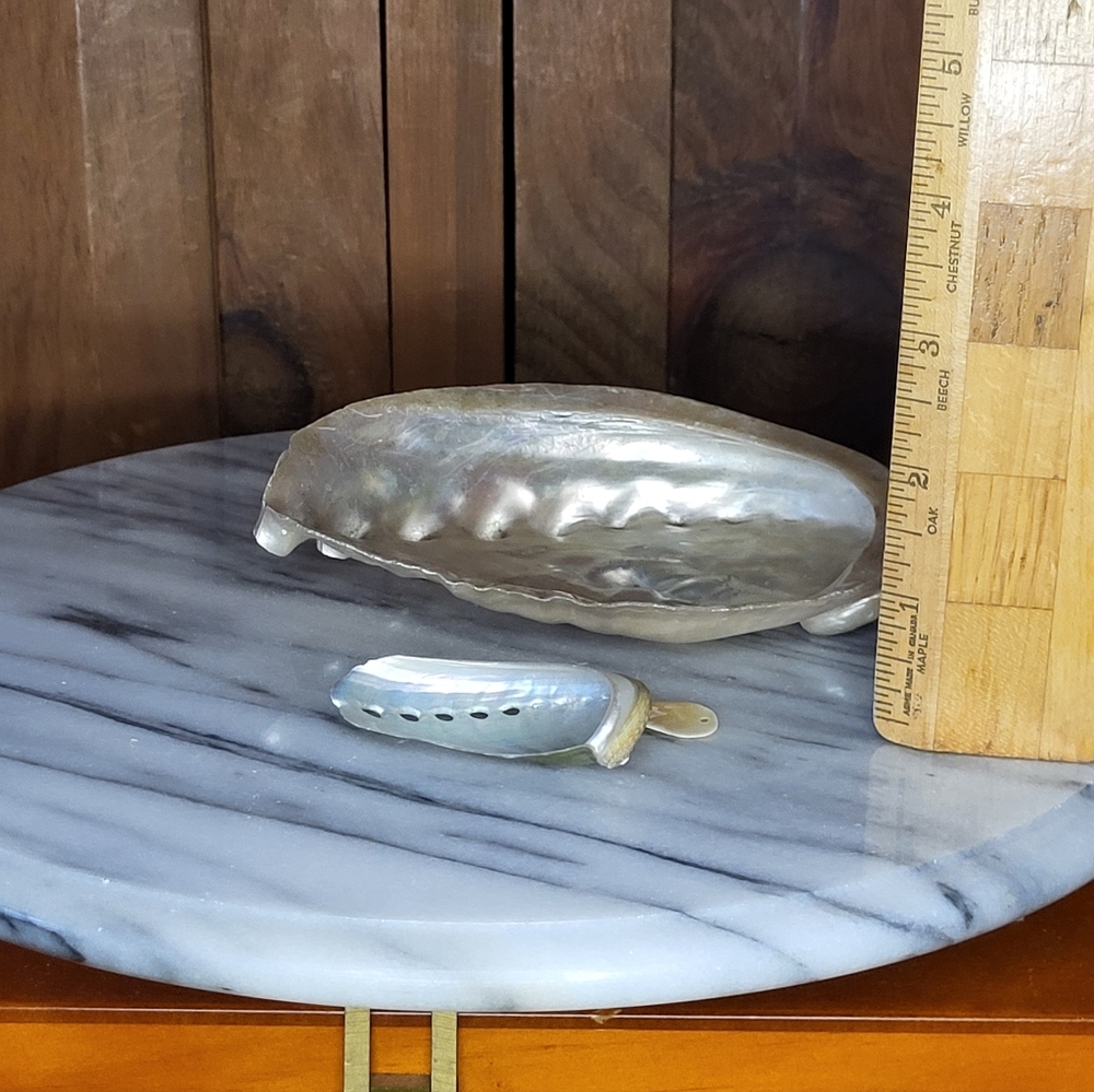Iridescent Abalone Shell Pair - Picture 8 of 16